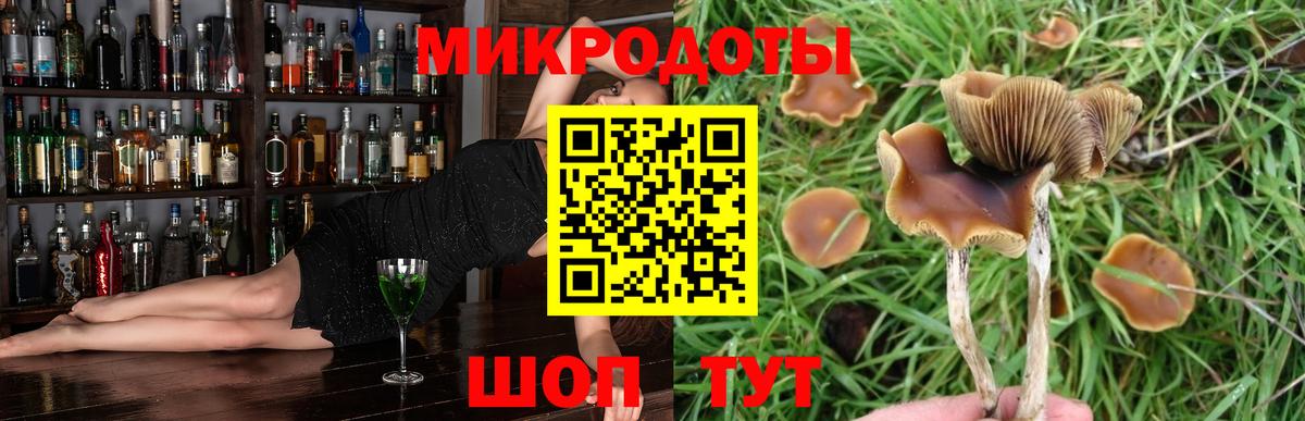 Ржев  Галлюциногенные грибы GOLDEN TEACHER  сколько стоит  Вход с VPN 